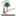 sahtoday.com