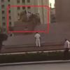 تحريات الشرطة تكشف تفاصيل محاولة تكسير تماثيل الكباش في التحرير وهوية المتهم تحريات الشرطة تكشف تفاصيل محاولة تكسير تماثيل الكباش في التحرير وهوية المتهم