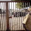 منظمة: عفو السودان عن المعتقلين السياسيين قاصر