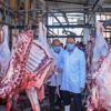 «بيطري القليوبية»: تجهيز المجازر استعدادا لشم النسيم «بيطري القليوبية»: تجهيز المجازر استعدادا لشم النسيم