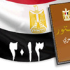 مصر: الانتهاء من التصويت على الدستور الجديد اليوم