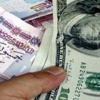 شركات الصرافة في مصر تعاني شح الدولار شركات الصرافة في مصر تعاني شح الدولار