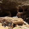 مصرع 3 عمال وحصار 10 بعد انهيار منجم ذهب في السودان مصرع 3 عمال وحصار 10 بعد انهيار منجم ذهب في السودان