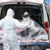 الولايات المتحدة تسجل 52 ألفا و685 إصابة جديدة بفيروس كورونا