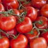 تعرف على أسباب ارتفاع أسعار الطماطم