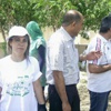 تنظيف حديقه عامه في طمرة