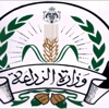 الزراعة: حركة الاستيراد والتصدير الى سورية اعتيادية ولا نية لإغلاق الحدود