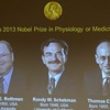 أمريكيان وألماني يفوزون بجائزة نوبل للطب 2013