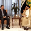 الحكيم يستقبل السفير الإيراني لدى العراق