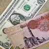 الجنيه يُسجل انخفاضًا قياسيًا الجنيه يُسجل انخفاضًا قياسيًا