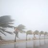 إعلان حالة الطوارئ في ثلاث ولايات أمريكية بسبب إعصار "ألبرتو" إعلان حالة الطوارئ في ثلاث ولايات أمريكية بسبب إعصار "ألبرتو"