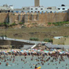 كيف تحولت العطلة الصيفية إلى ثابت زمني في أجندة المغاربة؟