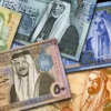 بدء صرف مستحقات الدعم النقدي للمستحقين الذين قبلت اعتراضاتهم