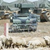 تركيا تقصف سورية مجدداً بعد سقوط قذيفة في أراضيها