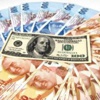 هبوط قياسي لليرة التركية أمام الدولار