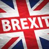 ولادة "حزب بريكست" في بريطانيا