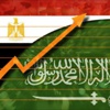 سعي مصري سعودي لإنهاء نزاعات المستثمرين