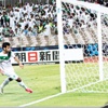 قلعة الكؤوس يا محلى الدروس قلعة الكؤوس يا محلى الدروس