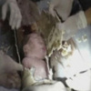 استخراج رضيع حيًا من قناة للصرف الصحى فى الصين استخراج رضيع حيًا من قناة للصرف الصحى فى الصين