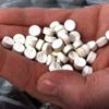 ميناء طنجة: ضربة قوية لشبكة تهريب المؤثرات العقلية ميناء طنجة: ضربة قوية لشبكة تهريب المؤثرات العقلية