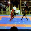 7ميداليات للعراق في البطولة العربية للوشو كونغ فو 7ميداليات للعراق في البطولة العربية للوشو كونغ فو