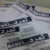 250 ألف توقيع لتمرد فى الدقهلية وحملات توعية للتوقيع