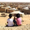 بان يقرع ناقوس التطرف في تندوف بان يقرع ناقوس التطرف في تندوف
