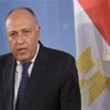 نص خطاب مصر إلى مجلس الأمن بخصوص سد النهضة