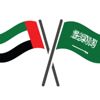 الإمارات تعلن سحب دبلوماسييها من لبنان تضامناً مع السعودية