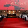 كان تقيم متحفا دوليا لمهرجانها وللسينما كان تقيم متحفا دوليا لمهرجانها وللسينما