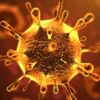 اليابان تسجل أول حالة وفاة بفيروس كورونا الجديد