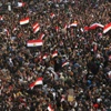 المكتب الإعلامي بباريس يطلق نشرة إخبارية بعنوان مصر.. بعد عام من ثورة 25 يناير