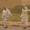 'سموم وغبار' الأسبوع المقبل