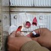 مباحث المصنفات تغلق قناة فضائية وشركة إنتاج فني مباحث المصنفات تغلق قناة فضائية وشركة إنتاج فني