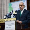 البرادعي: حكومة كفاءات ونائب عام جديد «مطالب شعبية لحل الأزمة»