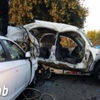 بالفيديو: قصة كلب تكلم على الهواء.. تثير الجدل في بريطانيا!!