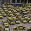 انتهاء إضراب المركبات العمومية في محافظة الخليل