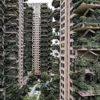 السر في البعوض.. الصينيون يتجنبون السكن بمشروع الغابات العمودية