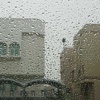 أمطار الخير هلّت