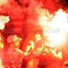 تفحم طفلين توأم بسبب «الشماريخ»