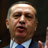 أردوغان: نحن أحفاد المهاجرين وأحفاد الأنصار أيضا