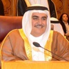 وزير الخارجية : عدم وجود محكمة عربية لحقوق الإنسان كان شيئًا ناقصًا