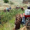 الجيش الصهيوني: عالجنا اليوم أربعة سوريين أصيبوا في الجولان