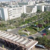 حفل توقيع ''حتى يسكن العرش'' و''ديستوبيا'' بالمنصورة