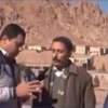 بالفيديو.. إنبات بذور ''بنجر السكر'' في مصر لأول مرة