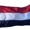 «ميد»: توقعات بانتخاب المصريين المشير السيسي رئيساً لمصر «ميد»: توقعات بانتخاب المصريين المشير السيسي رئيساً لمصر