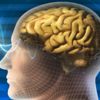 نصائح لتحسين عمل الدماغ
