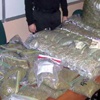 ضبط سيارة ميكروباص بداخلها 40 كيلو بانجو بالمنيا ضبط سيارة ميكروباص بداخلها 40 كيلو بانجو بالمنيا