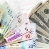 الدولار واليورو يستقران أمام الدينار الدولار واليورو يستقران أمام الدينار