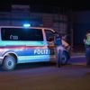 الشرطة النمساوية تضبط حشيشا بقيمة 2.5 مليون يورو وسط شحنة بلاط الشرطة النمساوية تضبط حشيشا بقيمة 2.5 مليون يورو وسط شحنة بلاط